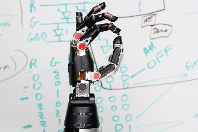 Robotic Hand